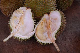 durian