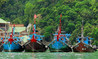 fishing boats